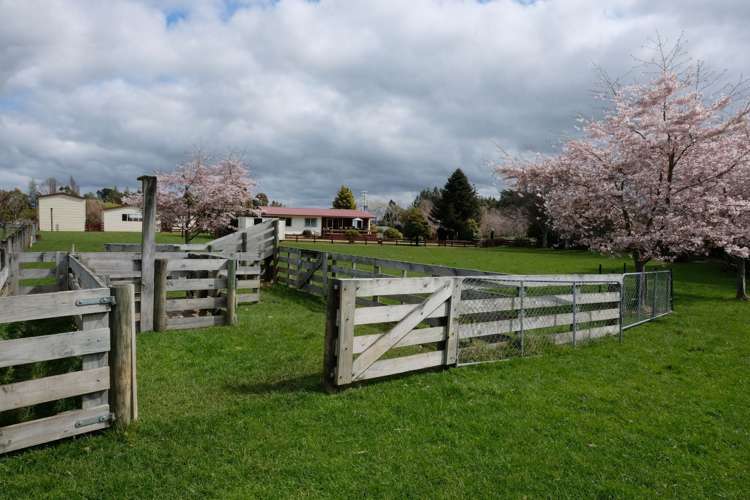 45 Tawhero Road Ohakune_17