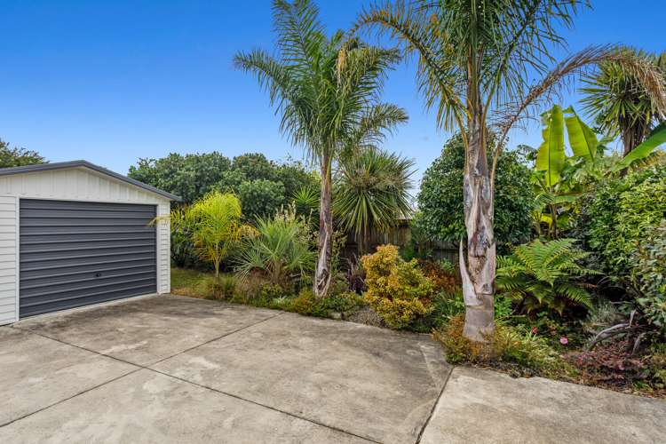 34b Rata Avenue Edgecumbe_14
