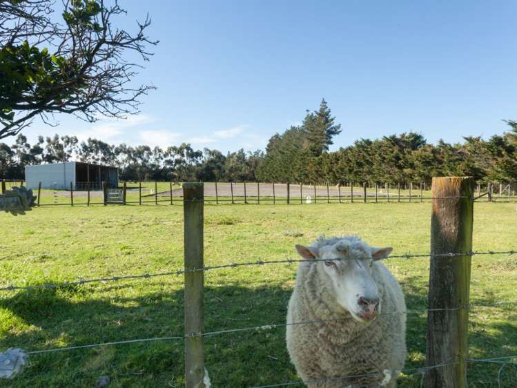 997 State Highway 53 Tauwharenikau_24