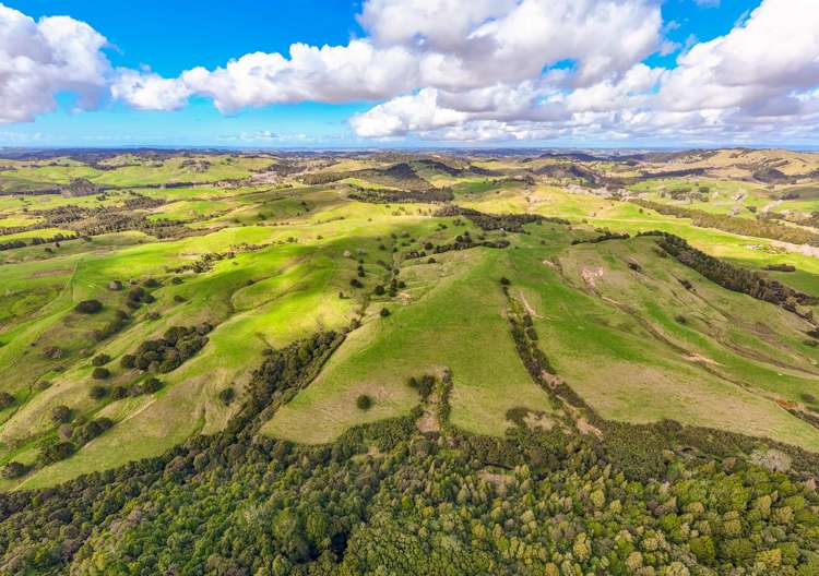 325b Haruru Road Wainui_31