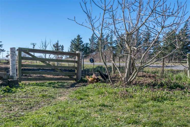 6151 State Highway 1 Seddon_15