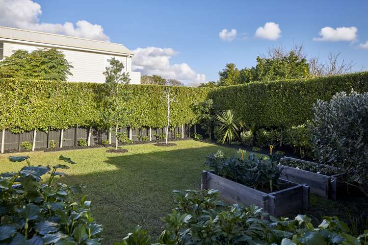 13 Oxford Terrace Devonport_15