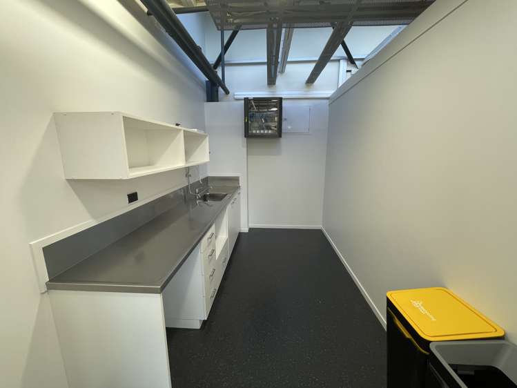 72 Dominion Road Mount Eden_7