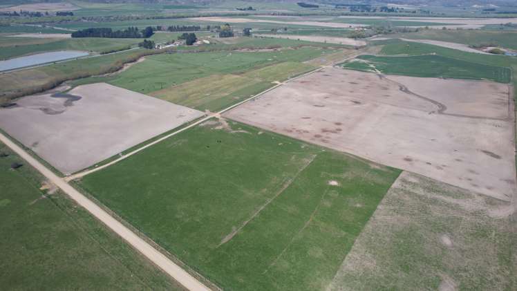 51 Saint Bathans Loop Road Becks_22