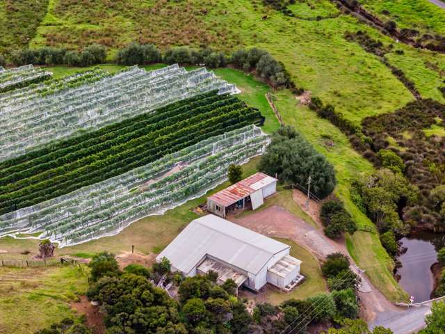 Mahinepua Road - Vineyard and Implement Sheds Mahinepua Peninsula_2