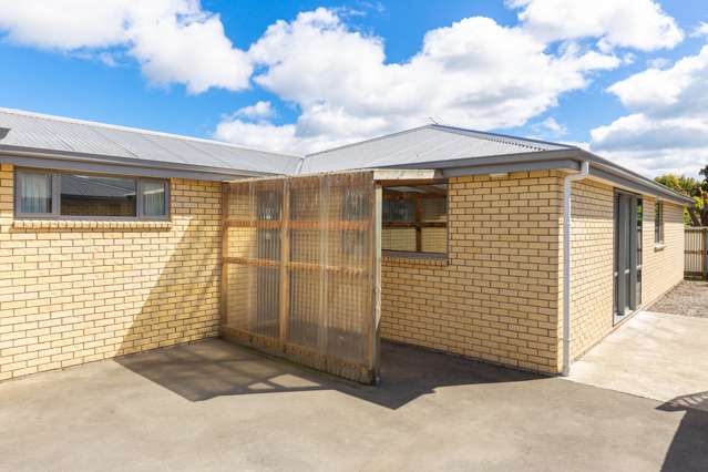 12b Dunbeath Street Blenheim Central_1