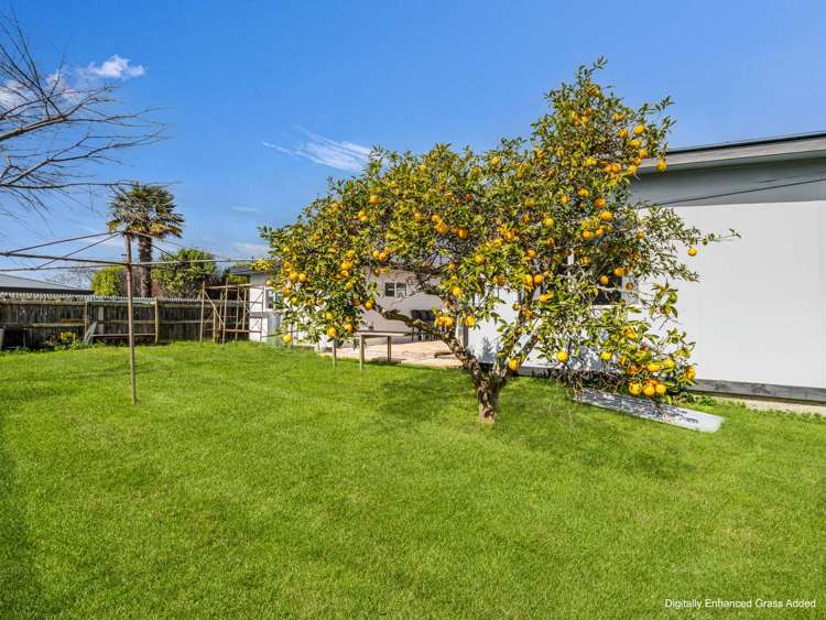 148 James Street Whakatane_29