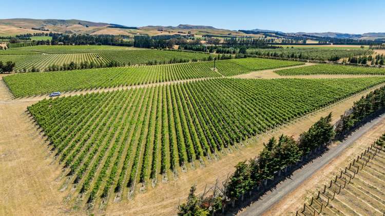 139 Mackenzies Road Waipara_12