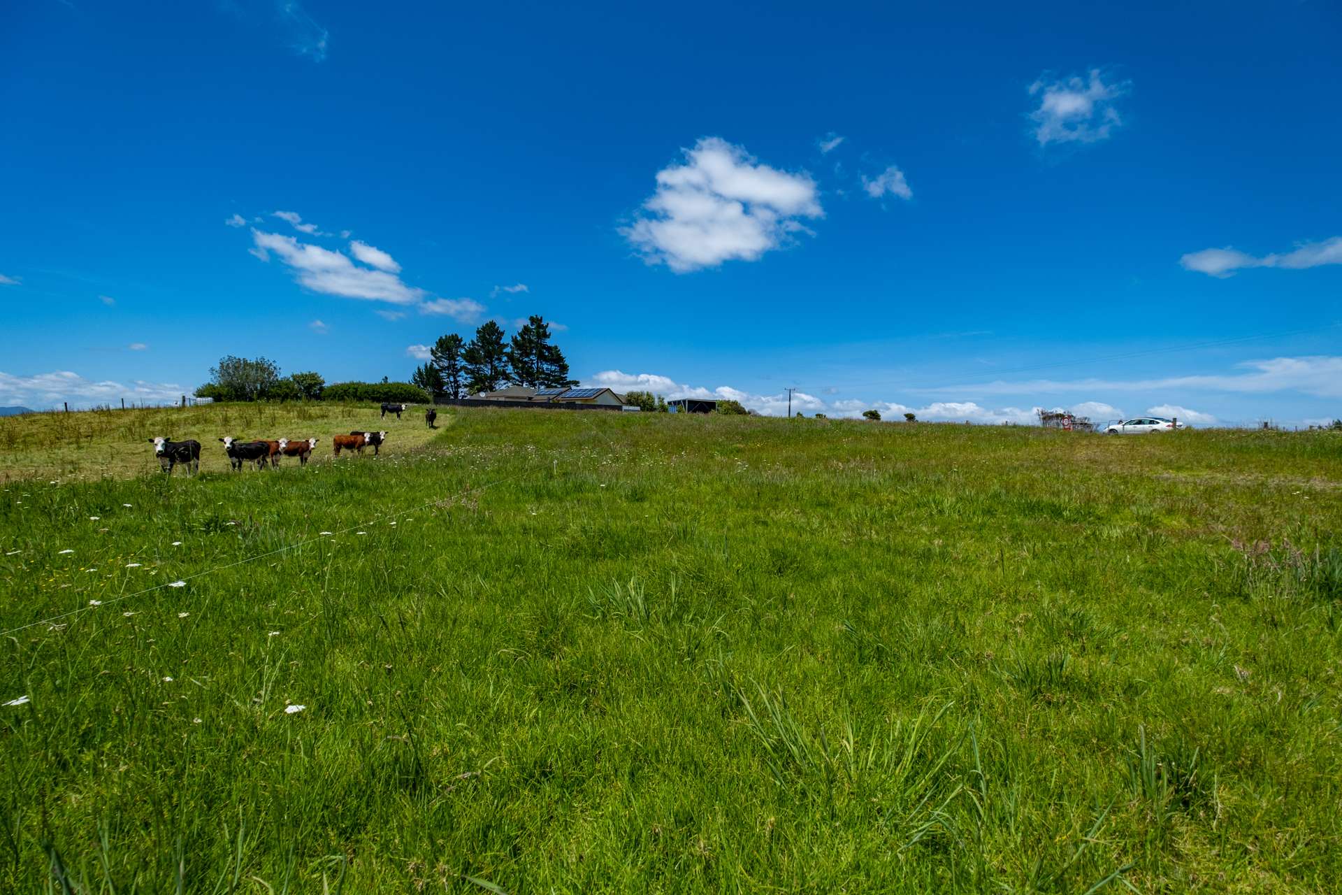 Lot 5 Hillcrest  Road Kaitaia_0