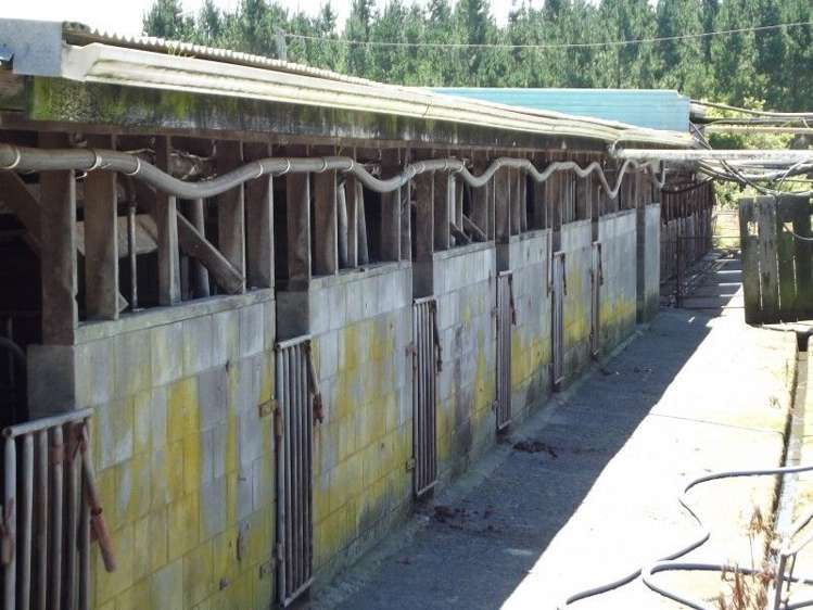 3082 Mountain Road Midhirst_43