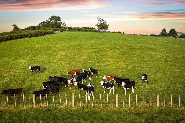 79 Sharp Road Matakana_38