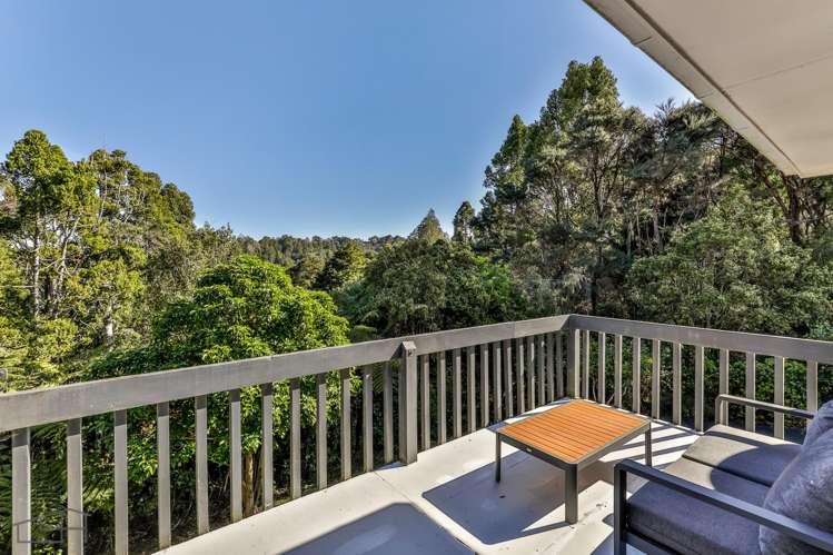 87 Tanekaha Road Titirangi_12