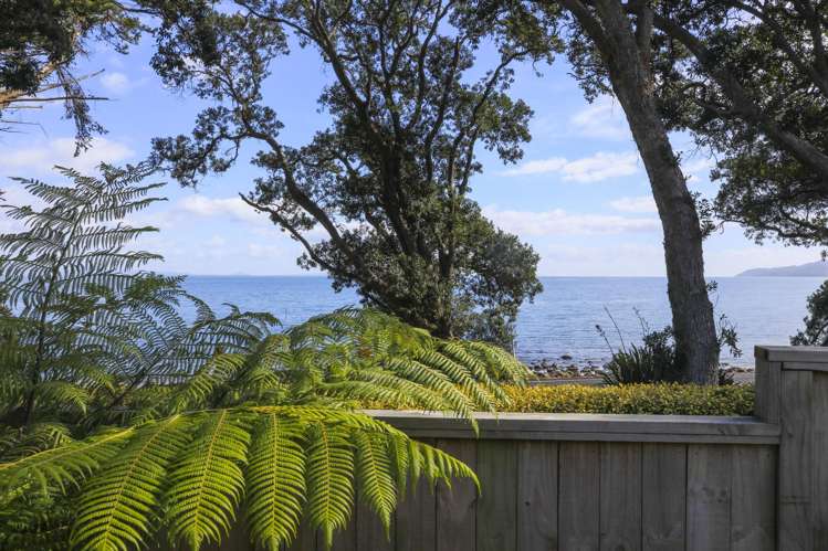 684A Thames Coast Road_3