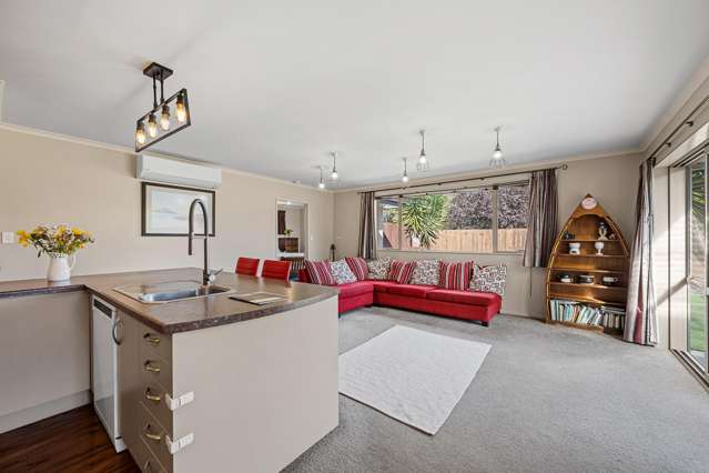 16E Rousehill Street Renwick_3