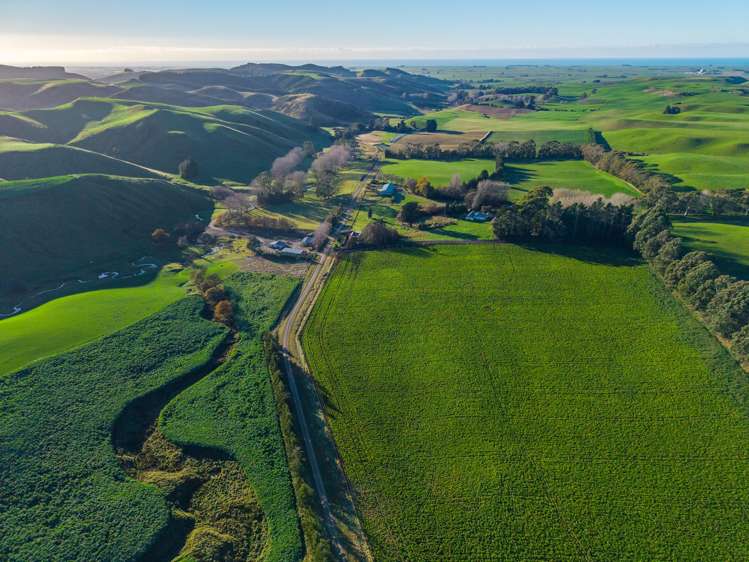 463 Dog Kennel Road Waimate_36