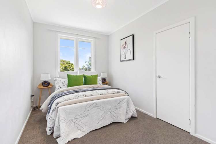 19 Layard Street Avondale_11