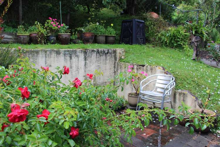 75a Devon Street Picton_10