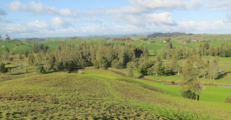 Waitomo Caves Road Waitomo_19