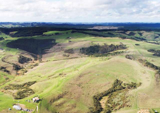 729 Peak Road Helensville_4