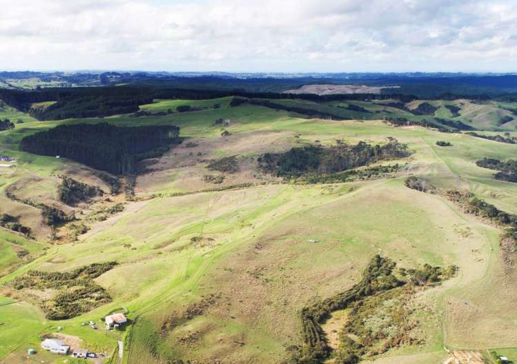 729 Peak Road Helensville_4