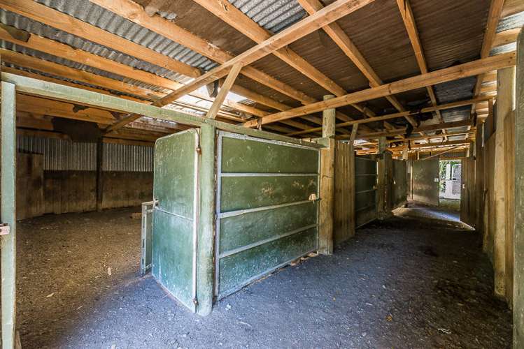 273 Huia Street Waikanae_5