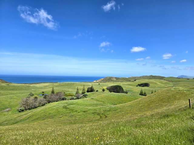 1415 Babylon Coast Road Dargaville_3