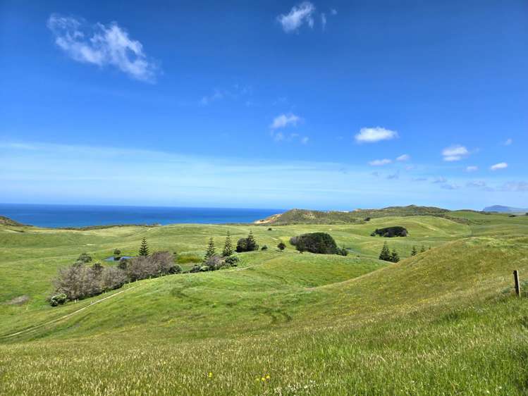 1415 Babylon Coast Road Dargaville_3