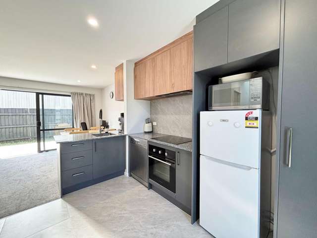 10B Chatham St Addington_3