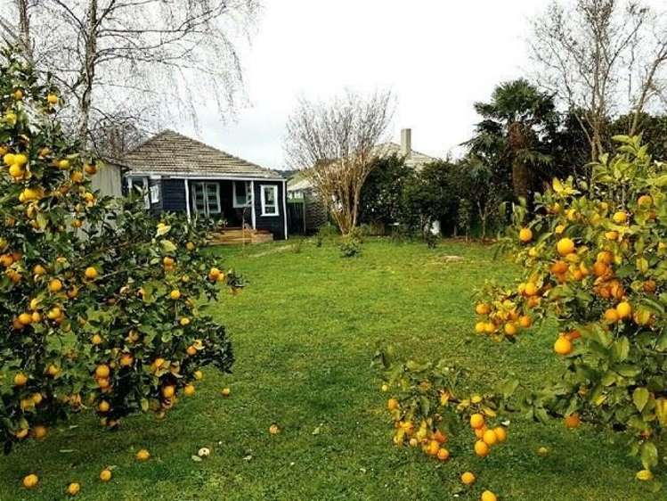 96 Thames Road Paeroa_28