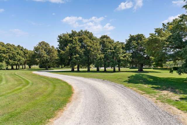 76 Cross Line Morison Bush_4