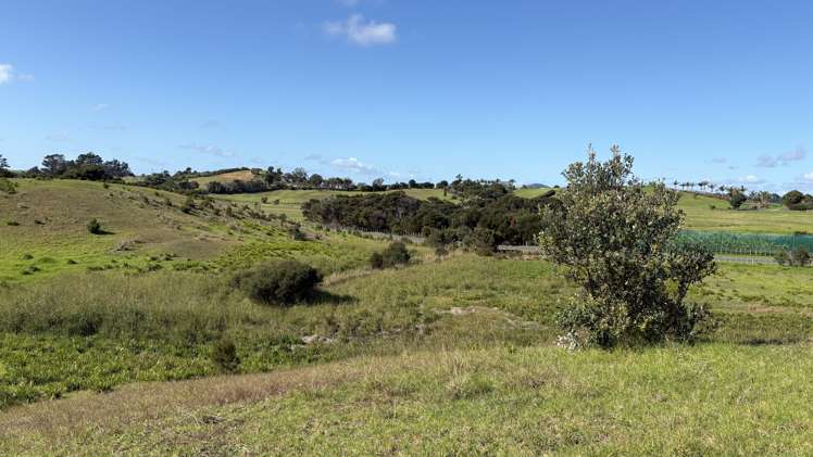 Lot 8 4815 State Highway 1 Houhora_28