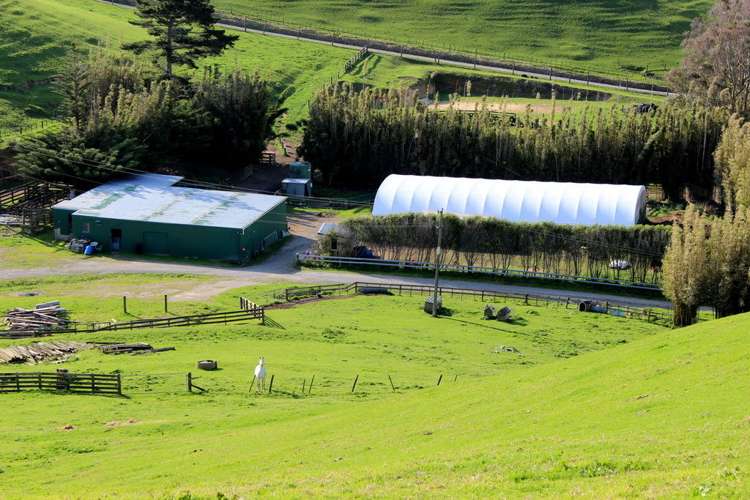 187 Katavich Road Awanui_23