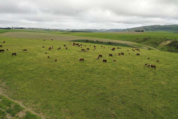 1159 Winchester Hanging Rock Road Kakahu_23