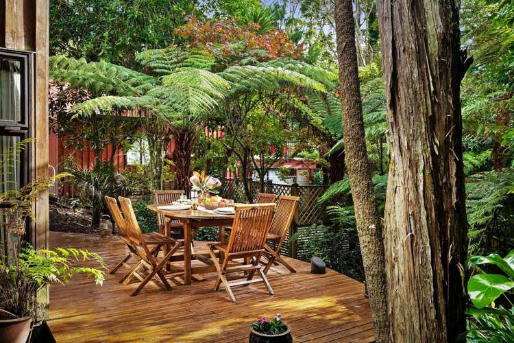 113B Daffodil Street Titirangi_1
