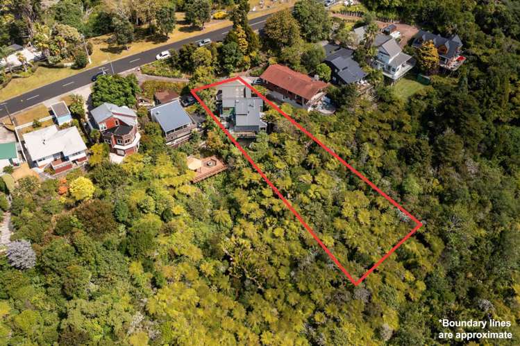 40 Goodall Street Hillsborough_18