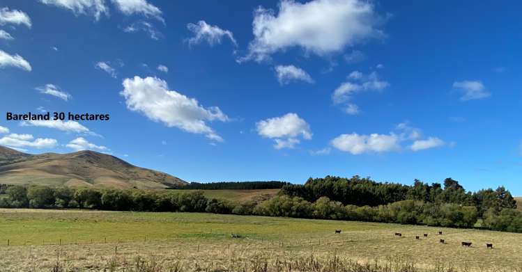 21 Patterson Road Palmerston_12