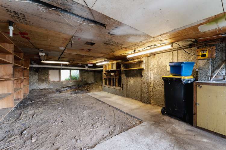 7 Westland Street Green Island_22