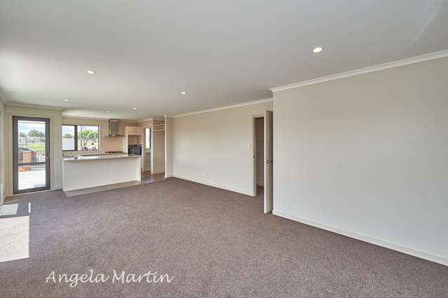 80 Pascal Street Palmerston North Central_4