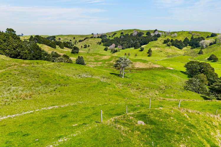 1334 Pukehuia Road Tangiteroria_29
