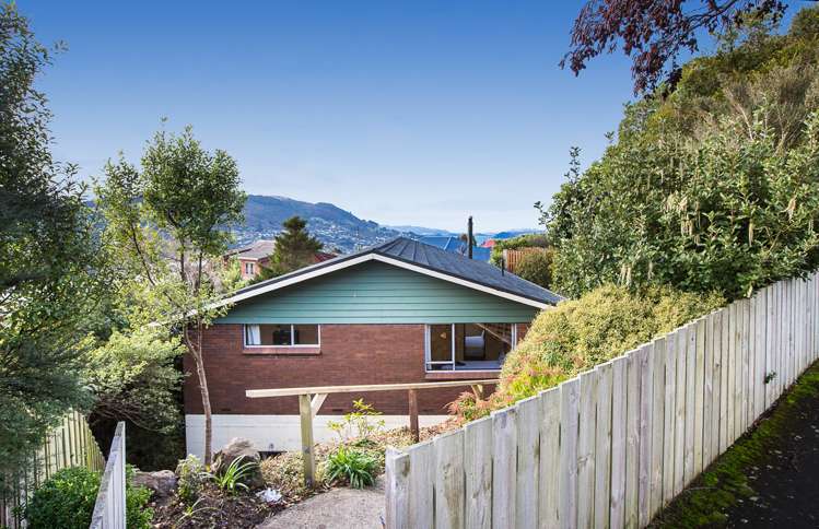 219 Larnach Road Waverley_4