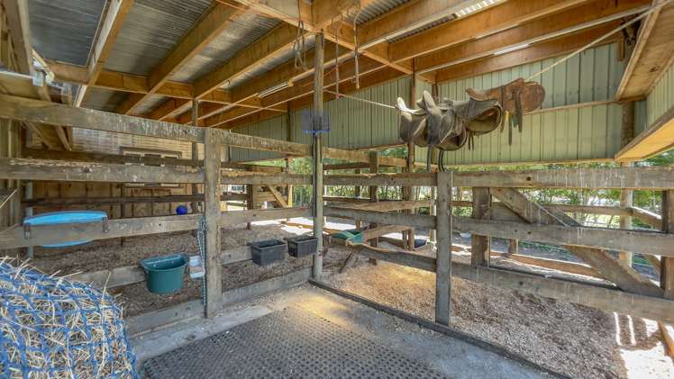 54 Pioneer Road Tahuna_14