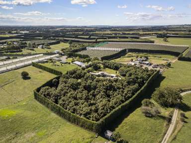 55C Taupata Street_4