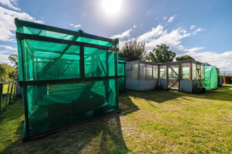 253 Molloys Road Waimate_21