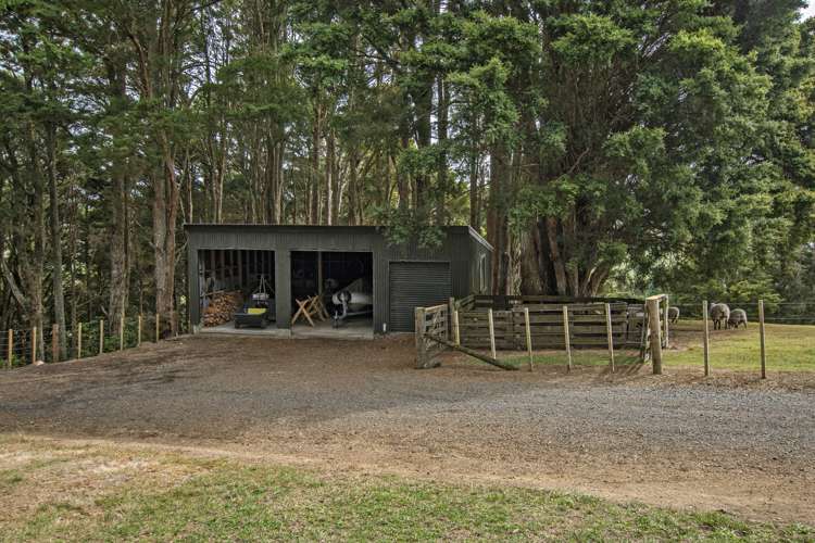 316 Crane Road Kauri_23