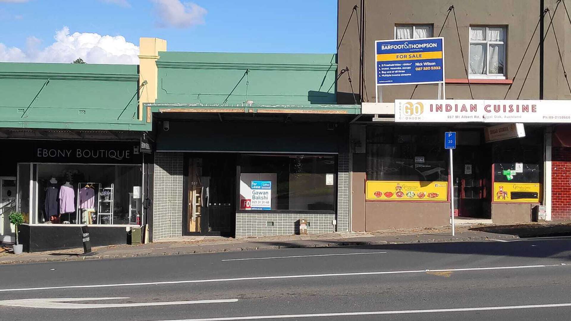 559 Mt Albert Road Royal Oak Auckland City Commercial Property