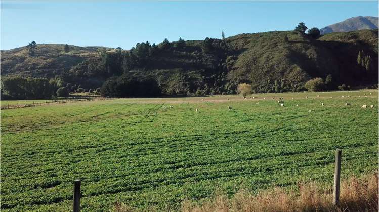 365 Paddys Alley Road Lumsden Surrounds_1