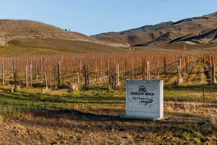 263 Felton Road Bannockburn_11