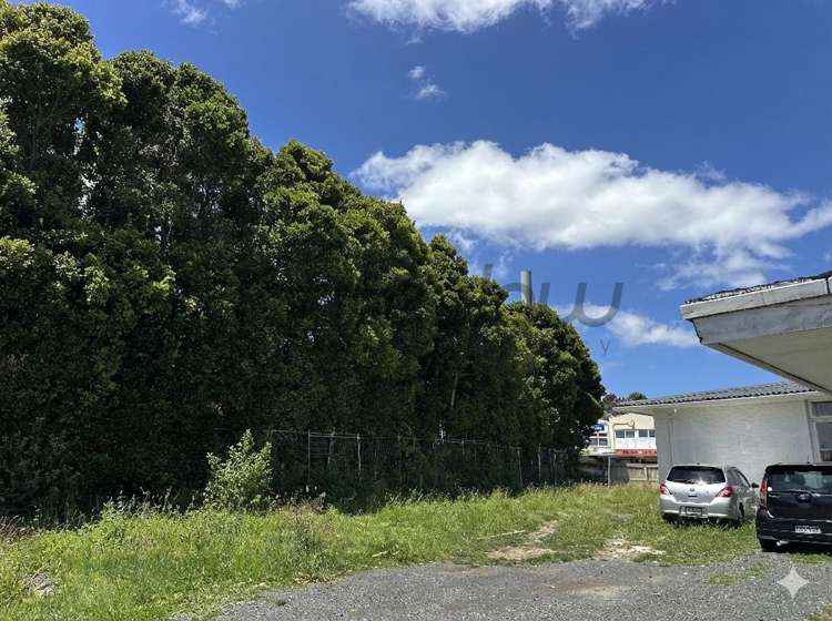 1215 Dominion Road Mount Roskill_7