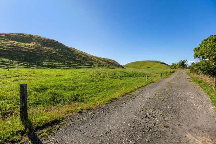 860 Egmont Road Hillsborough_6