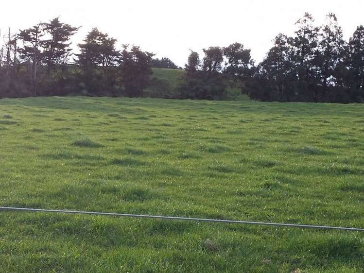 1102 Mangorei Road Mangorei_18